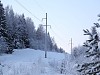 «Кировэнерго» в 2020 году расчистило более 3 тысяч гектаров трасс ЛЭП