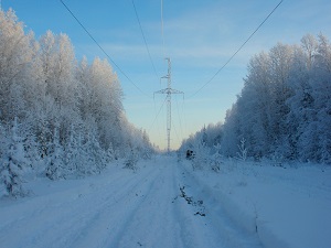 «ФСК ЕЭС» укрепила фундаменты опор магистральных ЛЭП в Брянской области