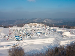 «Транснефть – Дальний Восток» продлила до 2031 года срок службы нефтяного резервуара в Приморье