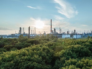 Годовая добыча углеводородов «Газпром нефти» впервые превысит 100 млн тонн н.э.