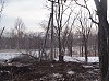 «Приморские электрические сети» стабилизировали напряжение в распредсетях Надеждинского района