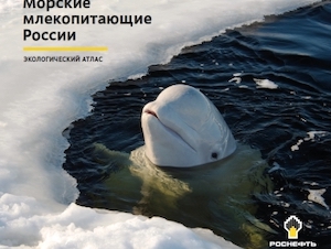 «Роснефть» выпустила атлас «Морские млекопитающие России»