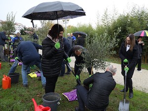 Работники «ОГК-2» заложили Аллею энергетиков в честь 10-летия Адлерской ТЭС