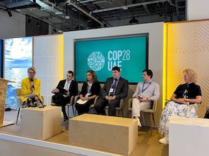 К 2050 году Россия удвоит мощность генерации ВИЭ