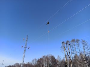 «Сахалинэнерго» впервые установило маркерные шары для защиты птиц на новой ЛЭП в Углегорском районе