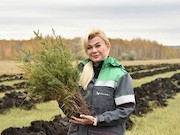 «Башнефть» в 2023 году высадила более полумиллиона деревьев в Башкирии