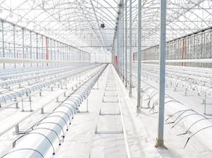 «Россети» обеспечили мощностью новый агрокомплекс в Северной Осетии