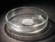 Катализатор физиков ТПУ снизил температуру выделения водорода в 4,5 раза