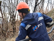 «Приморские электрические сети» расчистили более 1300 га просек ЛЭП