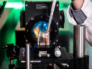 В НИЯУ МИФИ создают нетоксичные квантовые сенсоры для диагностики рака