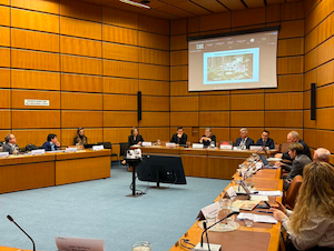 «Росатом» представил в МАГАТЭ лучшие практики развития «атомных» городов