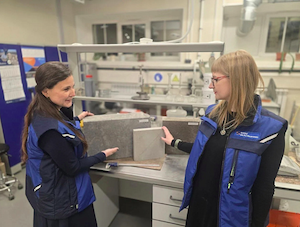 ВНИИГ разрабатывает экологически безопасные технологии переработки золошлаковых отходов